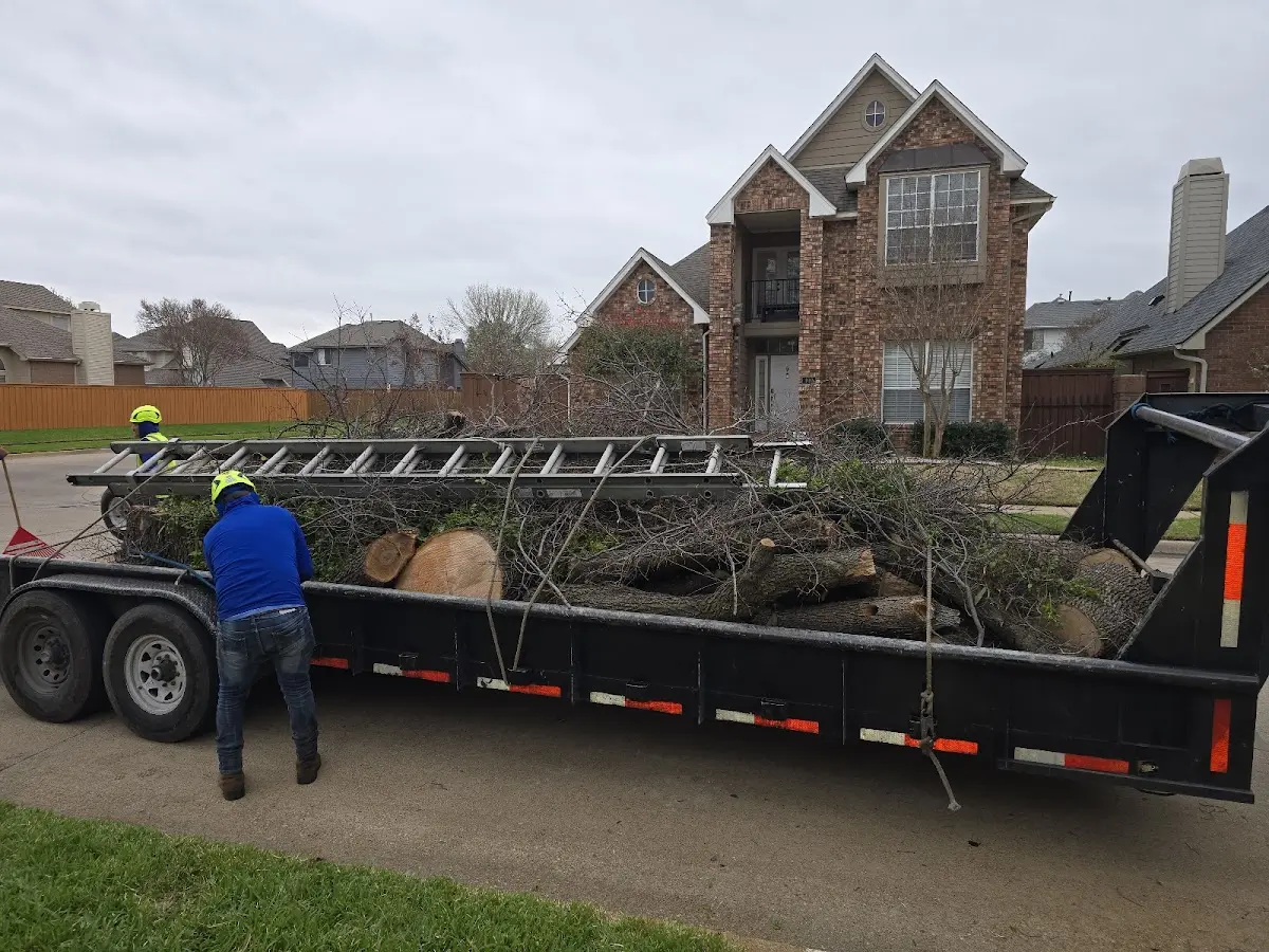 Expert Tree Fertilization with proper safety equipment in Flournoy
